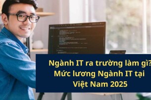 Ngành Công nghệ thông tin ra trường làm gì? Bảng so sánh chi tiết mức lương ngành IT tại Việt Nam 2025