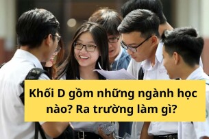 Khối D gồm những ngành học nào? Ra trường làm gì? - Cập nhật mới nhất 2025