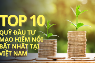Top 10 quỹ đầu tư mạo hiểm nổi bật nhất tại Việt Nam