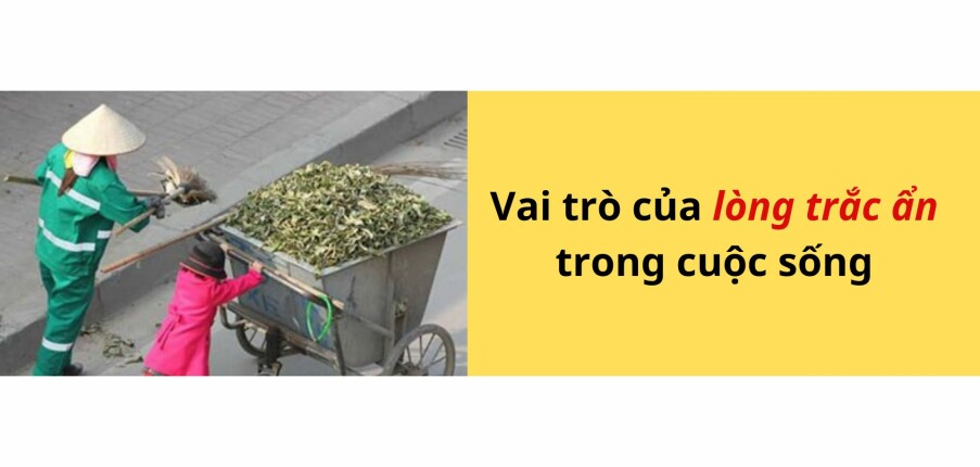 Lòng trắc ẩn là gì? Khác gì với lòng thương hại và sự đồng cảm?