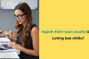 Ngành Kiểm Toán (Audit) Là Gì? Học Gì, Làm Gì, Lương Bao Nhiêu Năm 2025?