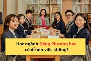 Học ngành Đông Phương học có dễ xin việc không? Top 20 cơ hội việc làm hấp dẫn cho sinh viên mới ra trường