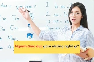Ngành Giáo dục gồm những nghề gì? Top 15 việc làm lương cao ngành Giáo dục