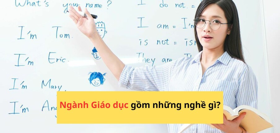 Ngành Giáo dục gồm những nghề gì? Top 15 việc làm lương cao ngành Giáo dục