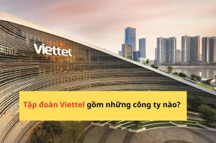 Tập đoàn Viettel gồm những công ty con nào?  Hoạt động trong lĩnh vực nào?