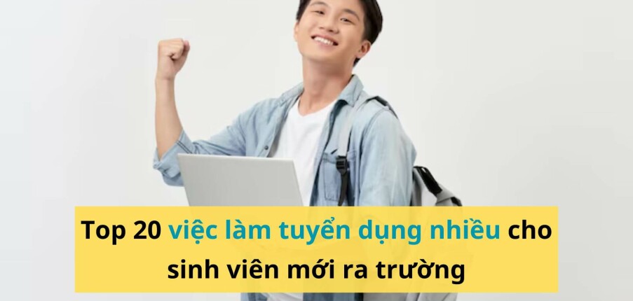 Top 20 việc làm tuyển dụng nhiều cho sinh viên mới ra trường
