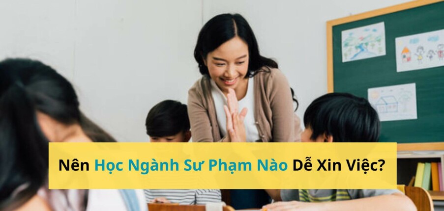 Nên Học Ngành Sư Phạm Nào Dễ Xin Việc? Top 5 Ngành Được Tuyển Dụng Nhiều Nhất (Cập Nhật 2025)
