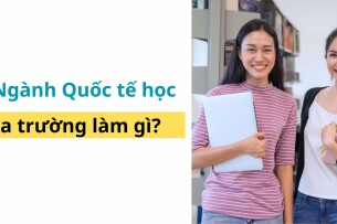 Top 15 công việc cho cử nhân ngành Quốc tế học (2025)