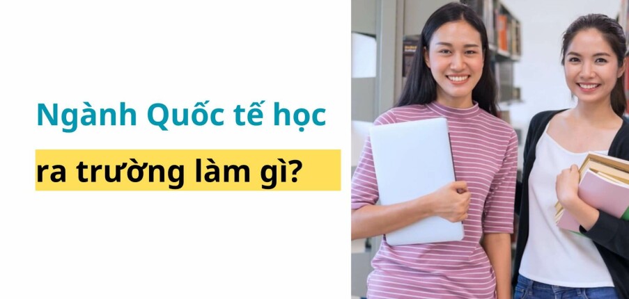 Top 15 công việc cho cử nhân ngành Quốc tế học (2025)