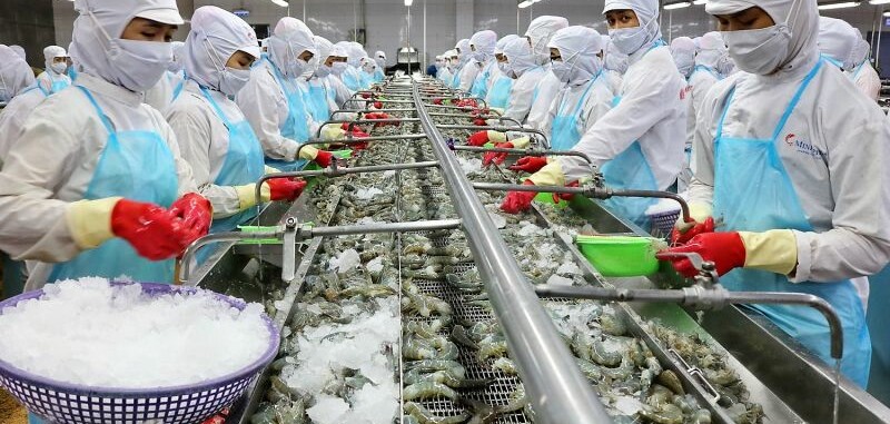 Top 20 công ty chế biến thủy sản hàng đầu tại Việt Nam
