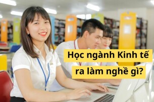 Học kinh tế ra làm gì? Top 15 công việc cho cử nhân ngành kinh tế mới ra trường (2025)