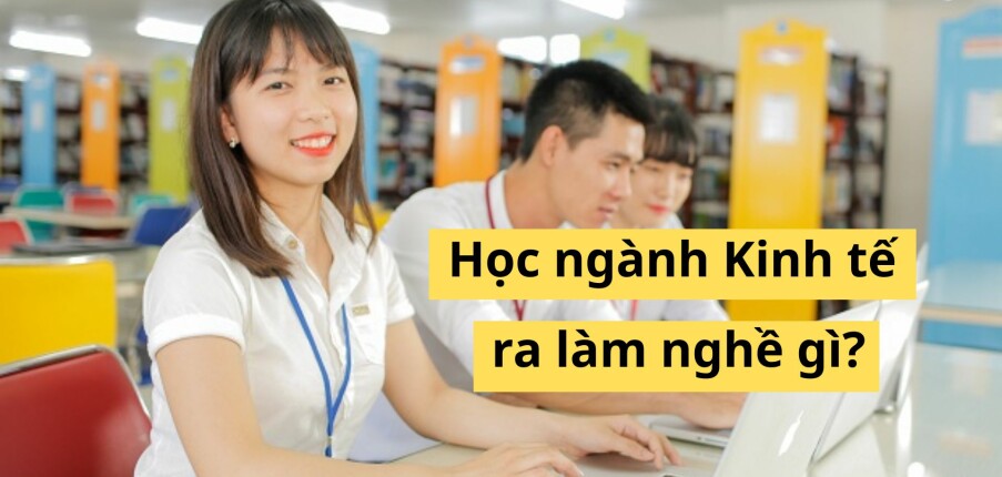 Học kinh tế ra làm gì? Top 15 công việc cho cử nhân ngành kinh tế mới ra trường (2025)