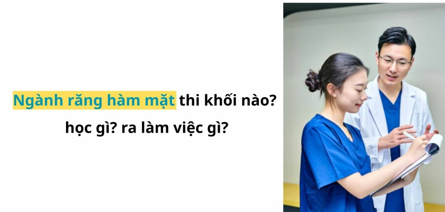 Ngành răng hàm mặt thi khối nào? học gì? ra làm việc gì? (2025)
