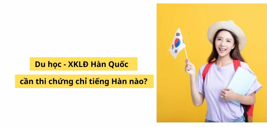 Muốn Du Học, Xuất Khẩu Lao Động Hàn Quốc Cần Thi Chứng Chỉ Tiếng Hàn Nào?