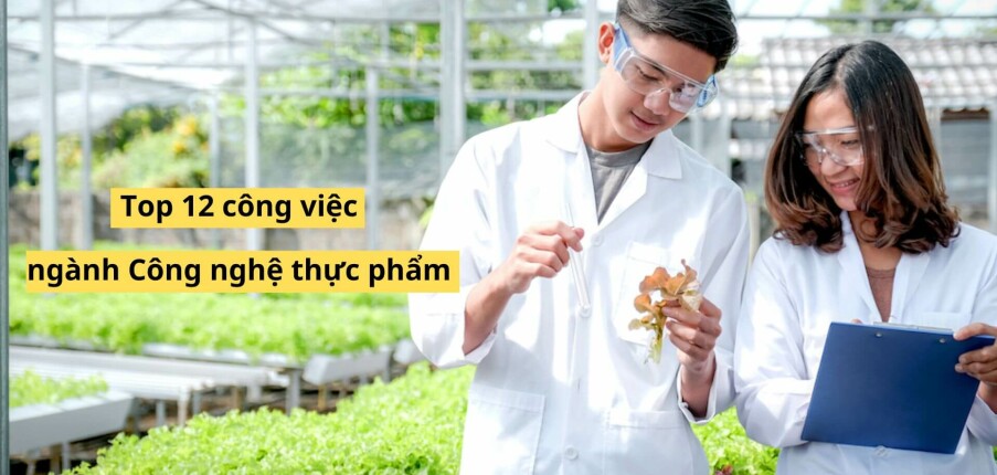 Top 12 công việc tuyển dụng nhiều ngành công nghệ thực phẩm (2025)