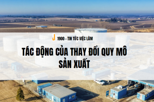 4 quy mô sản xuất trong doanh nghiệp bao gồm gì? Tác động của thay đổi quy mô sản xuất