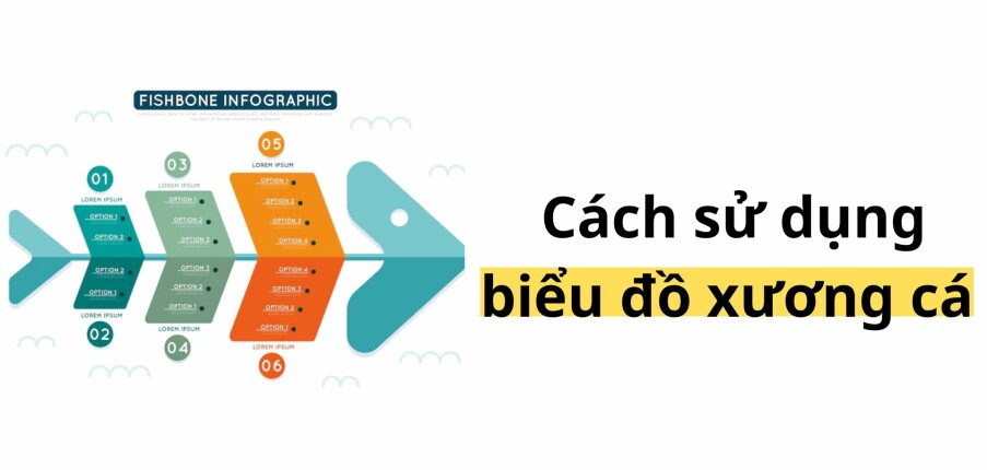 Cách sử dụng biểu đồ xương cá hiệu quả trong công việc (2025)