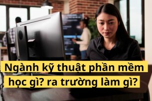 Ngành kỹ thuật phần mềm học gì? ra trường làm gì? lương bao nhiêu? (2025)