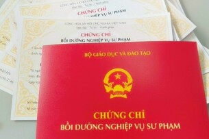 Chứng chỉ sư phạm là gì? phân loại, học ở đâu, khi nào cần học?