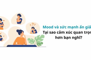 Mood và sức mạnh ẩn giấu: Tại sao cảm xúc quan trọng hơn bạn nghĩ?