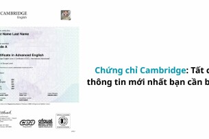 Chứng chỉ Cambridge: Tất cả thông tin mới nhất bạn cần biết (2025)