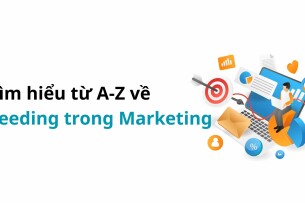 Seeding là gì? Tìm hiểu từ A-Z về Seeding trong Marketing