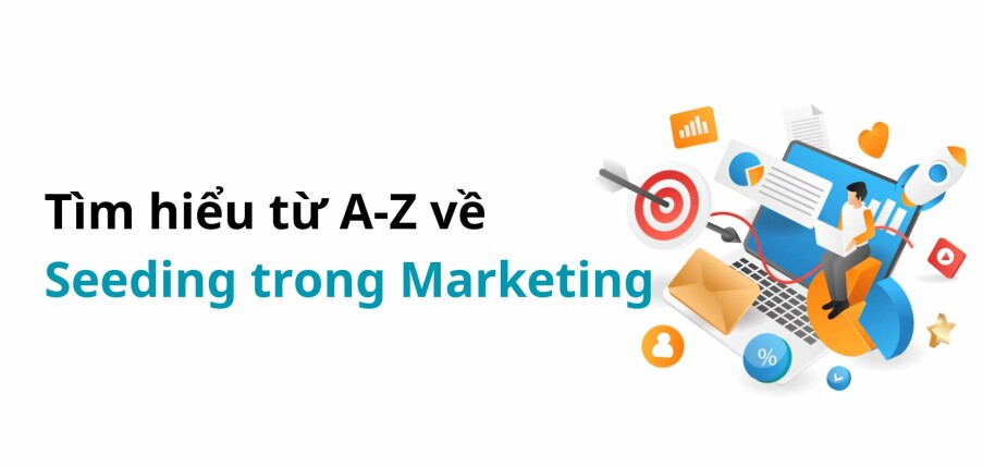 Seeding là gì? Tìm hiểu từ A-Z về Seeding trong Marketing