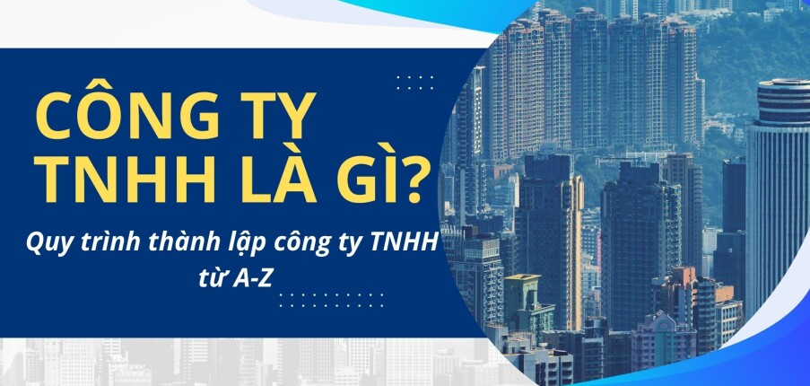 Công ty TNHH là gì? Giải mã chi tiết từ A-Z cho người mới khởi nghiệp
