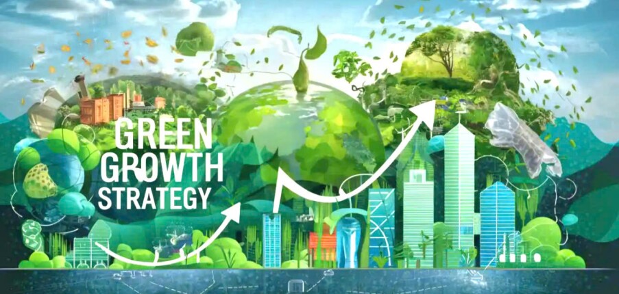 Top 5 công ty "xanh" dẫn đầu xu hướng phát triển bền vững tại VN (2025)