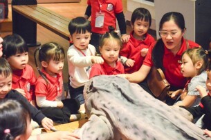 Các Trường Mầm Non Song Ngữ Hàng Đầu Tại Hà Nội