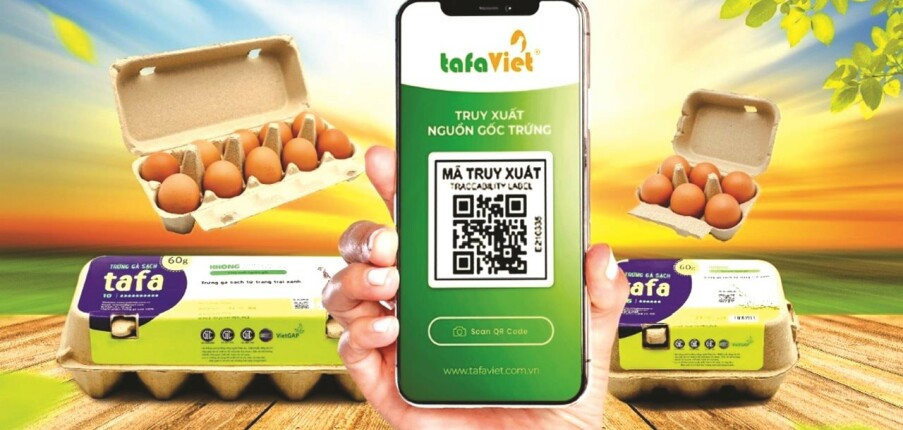 Top 7 công ty Việt dẫn đầu lĩnh vực nông nghiệp hữu cơ