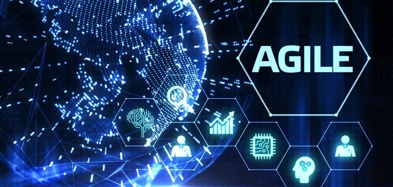 Xây dựng văn hóa Agile: Chìa khóa phát triển bền vững công ty IT