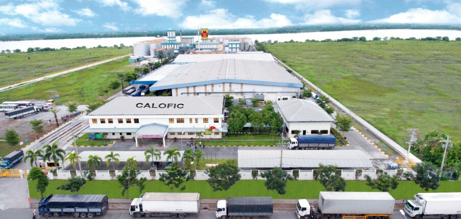 TOP 10+ công ty hàng đầu tại Quảng Ninh