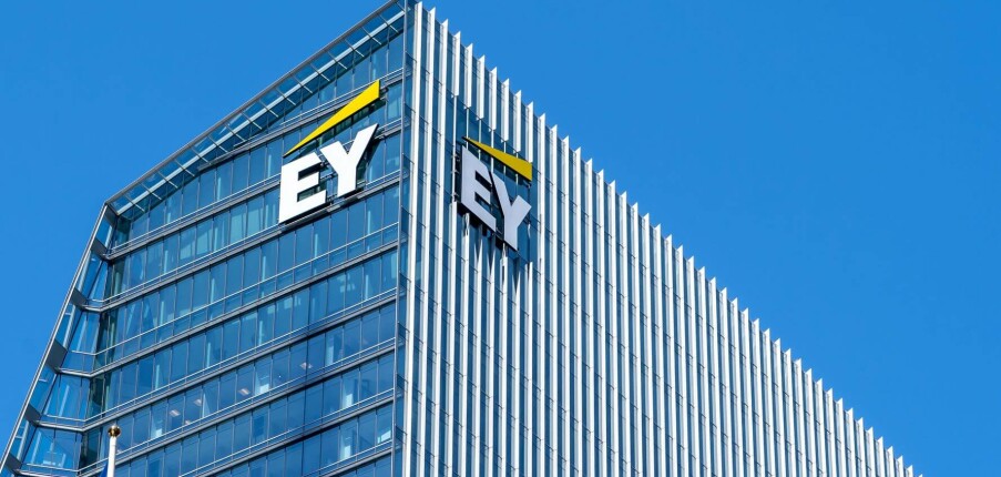 TOP 10 công ty tư vấn doanh nghiệp hàng đầu tại Việt Nam