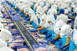 Top 10 công ty chế biến thủy sản chất lượng tại Cà Mau