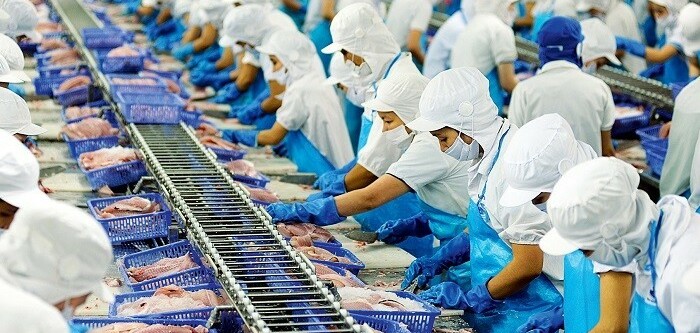 Top 10 công ty chế biến thủy sản chất lượng tại Cà Mau