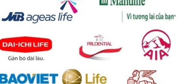 Top 10 công ty bảo hiểm nhân thọ có dịch vụ quản lý tài chính cá nhân tốt nhất