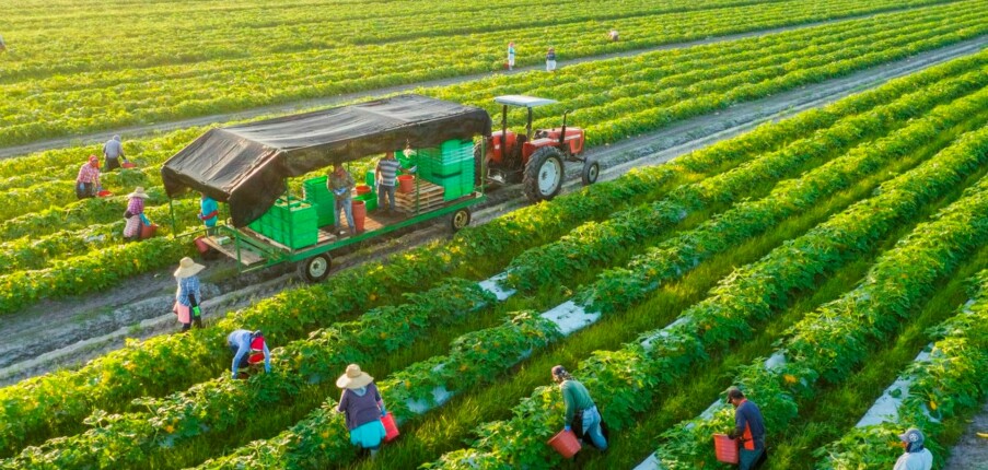 TOP 7 công ty logistics quốc tế chuyên tuyến nông sản & thực phẩm