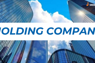 Holding Company là gì? Ưu và nhược điểm của công ty Holding gồm những gì?