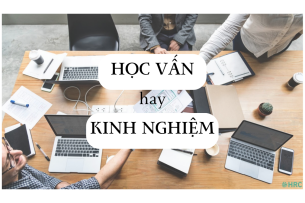 Bằng cấp có đáng tin cậy với HR? Nên ưu tiên học vấn hay kinh nghiệm trước