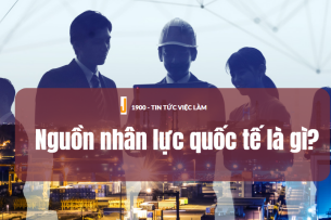 Nguồn nhân lực quốc tế là gì? Đặc điểm khác biệt của nguồn nhân lực quốc tế