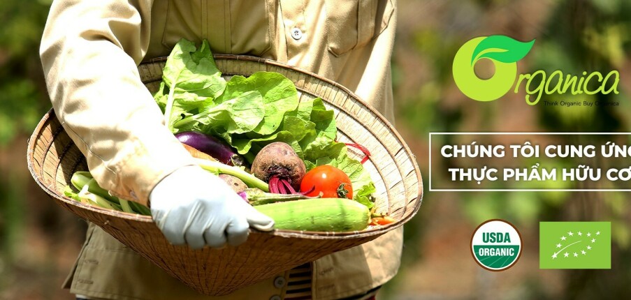 Top 10 công ty bán lẻ trực tuyến nội địa cạnh tranh với thương hiệu ngoại tại Việt Nam