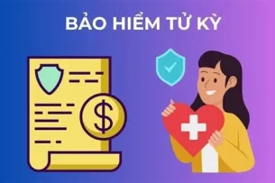 Top 10 công ty bảo hiểm nhân thọ uy tín cho bảo hiểm tử kỳ