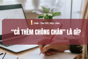 “Cả thèm chóng chán” là gì? Biểu hiện, tác hại, cách khắc phục tính dễ từ bỏ