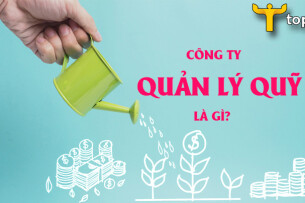 Top 10 công ty quản lý quỹ có dịch vụ quản lý danh mục đầu tư chuyên nghiệp
