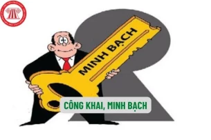 Top 10 công ty bảo hiểm nhân thọ được đánh giá cao về tính minh bạch