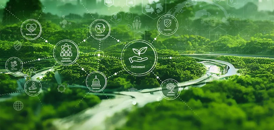 TOP 10 tổ chức và chương trình hỗ trợ môi trường tại Việt Nam