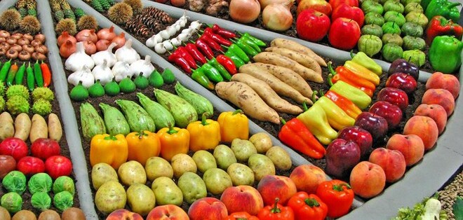 TOP 10 công ty kho bãi chuyên dụng cho nông sản xuất khẩu