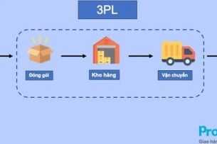 Top 10 doanh nghiệp 3PL chuyên phục vụ ngành TMĐT tại Việt Nam
