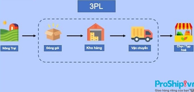 Top 10 doanh nghiệp 3PL chuyên phục vụ ngành TMĐT tại Việt Nam
